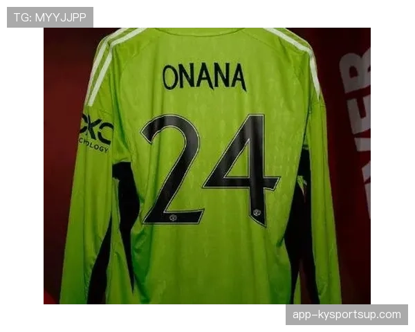 奥纳纳法甲主力赛季表现解析：五大联赛起点如何体现